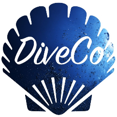 the dive company